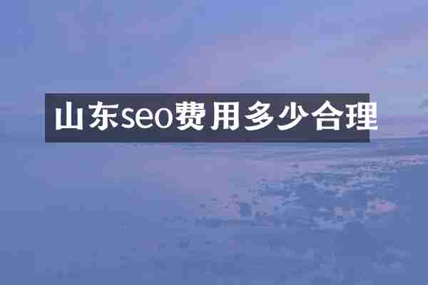 山东seo费用多少合理