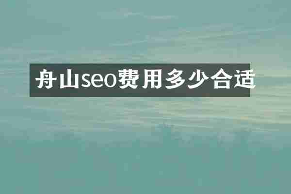 舟山seo费用多少合适