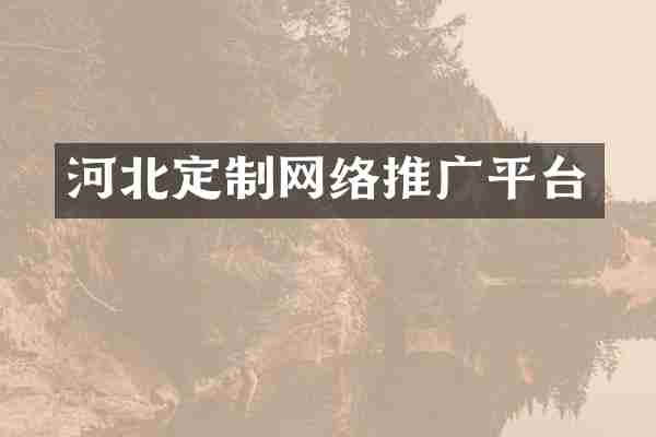 河北定制网络推广平台