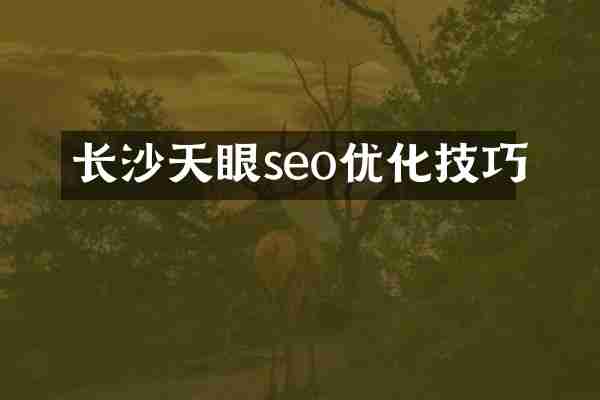 长沙天眼seo优化技巧