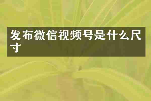 发布微信视频号是什么尺寸