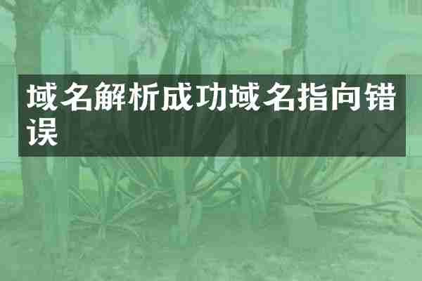 域名解析成功域名指向错误