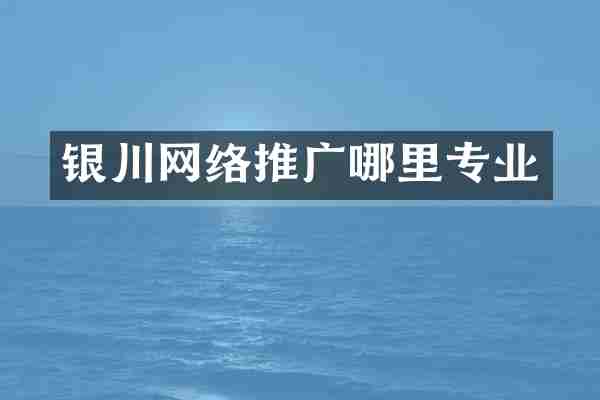 银川网络推广哪里专业