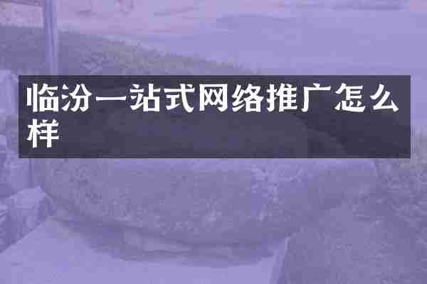 临汾一站式网络推广怎么样