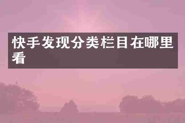 快手发现分类栏目在哪里看