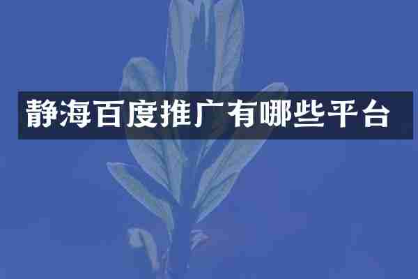 静海百度推广有哪些平台