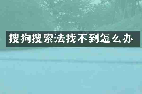 搜狗搜索法找不到怎么办