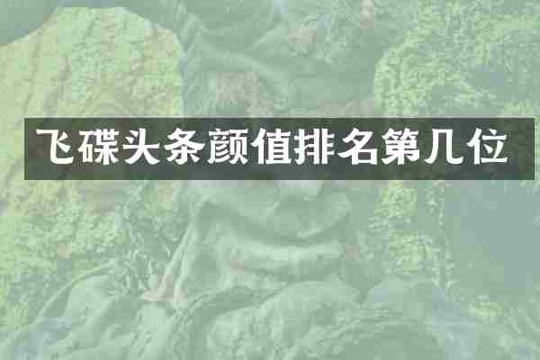 飞碟头条颜值排名第几位