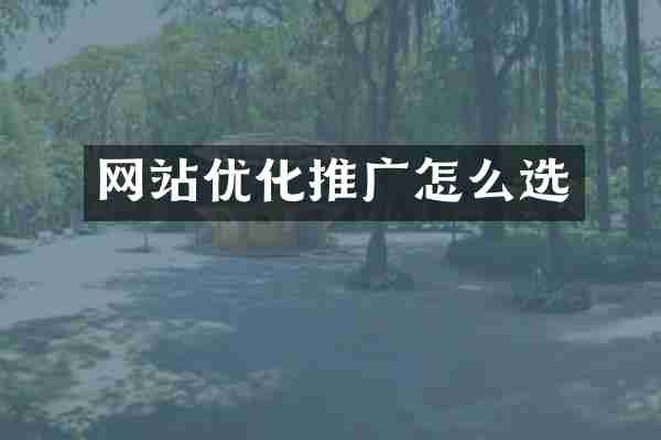 网站优化推广怎么选