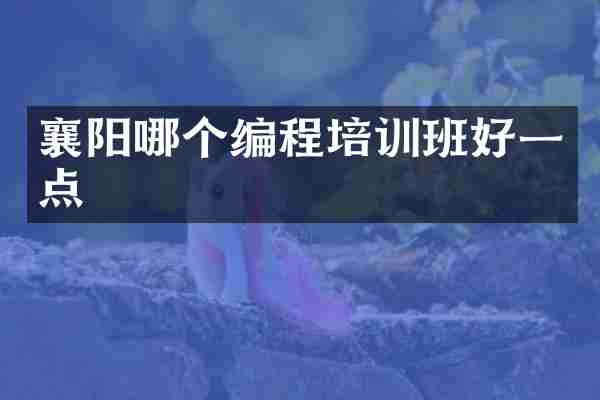 襄阳哪个编程培训班好一点