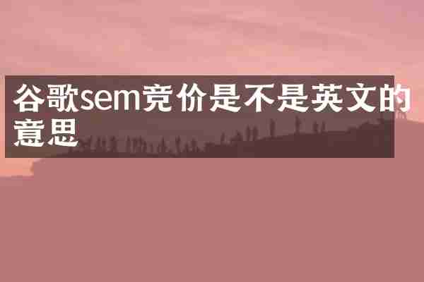 谷歌sem竞价是不是英文的意思