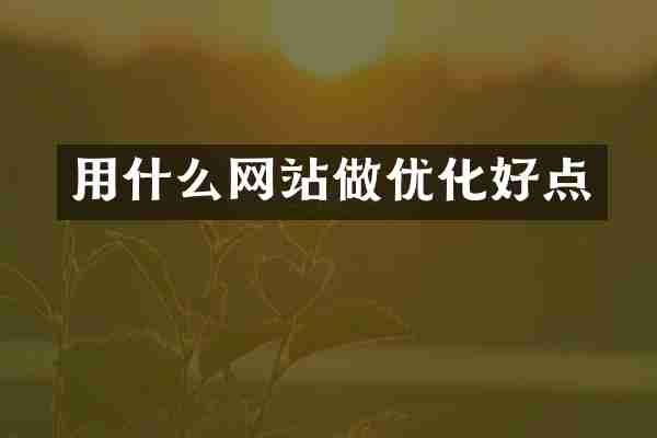 用什么网站做优化好点