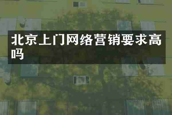 北京上门网络营销要求高吗