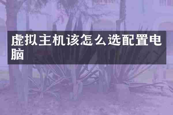 虚拟主机该怎么选配置电脑