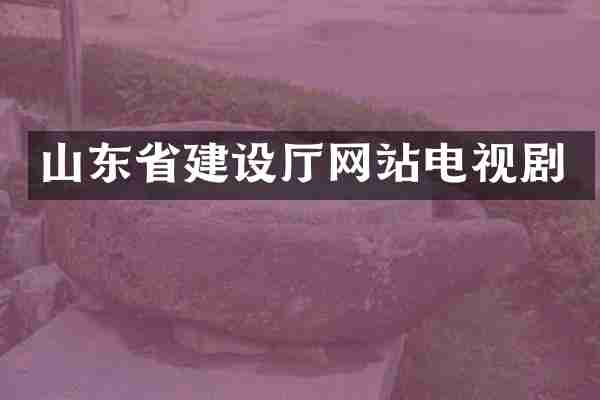 山东省建设厅网站电视剧