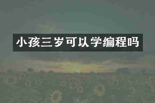 小孩三岁可以学编程吗