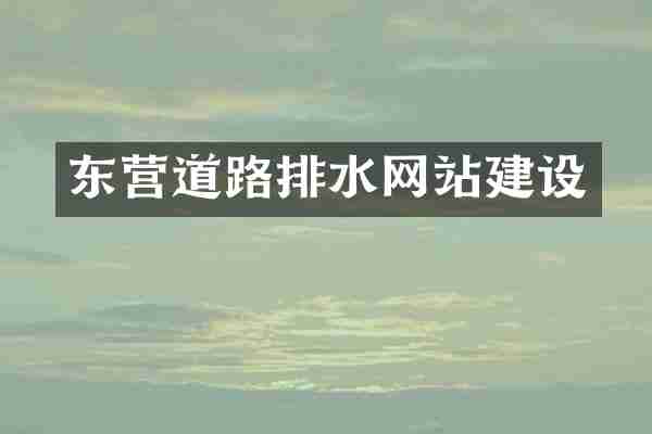 东营道路排水网站建设