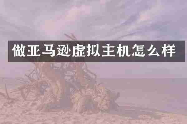 做亚马逊虚拟主机怎么样