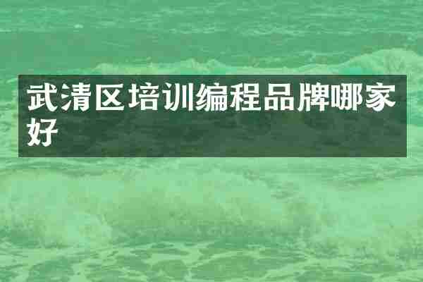 武清区培训编程品牌哪家好