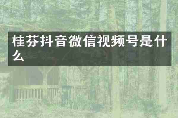 桂芬抖音微信视频号是什么