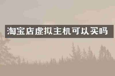 淘宝店虚拟主机可以买吗