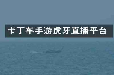 卡丁车手游虎牙直播平台