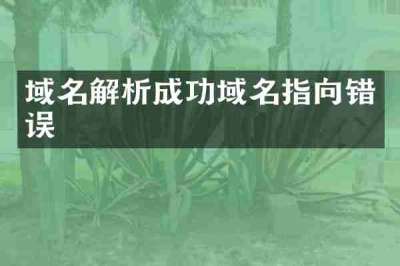 域名解析成功域名指向错误