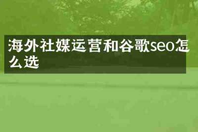 海外社媒运营和谷歌seo怎么选