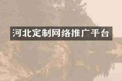 河北定制网络推广平台
