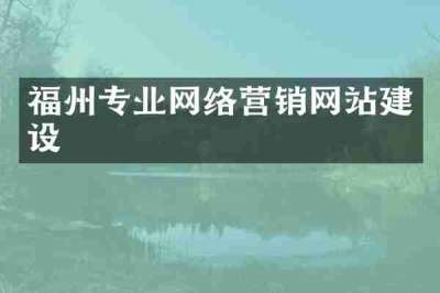 福州专业网络营销网站建设