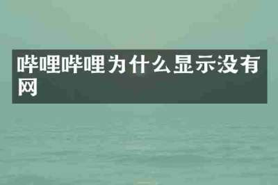 哔哩哔哩为什么显示没有网