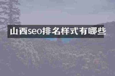 山西seo排名样式有哪些