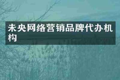 未央网络营销品牌代办机构