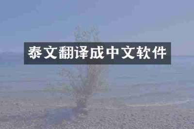 泰文翻译成中文软件