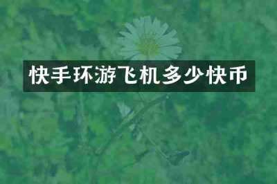 快手环游飞机多少快币
