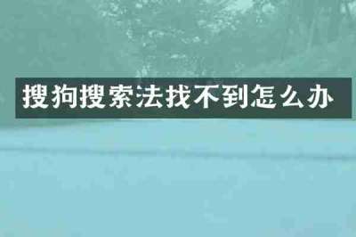 搜狗搜索法找不到怎么办