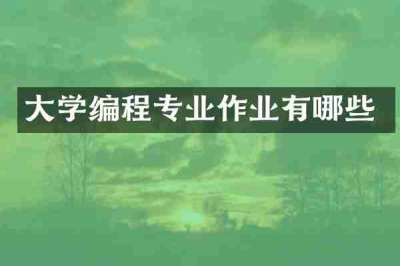 大学编程专业作业有哪些