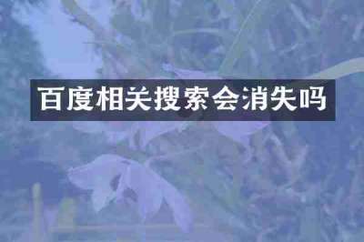 百度相关搜索会消失吗