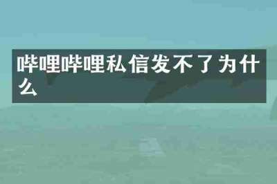 哔哩哔哩私信发不了为什么