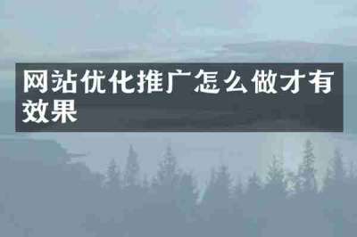 网站优化推广怎么做才有效果