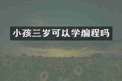 小孩三岁可以学编程吗