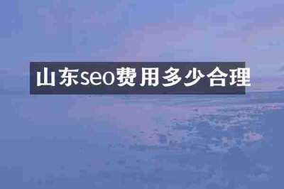 山东seo费用多少合理