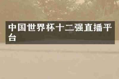 中国世界杯十二强直播平台