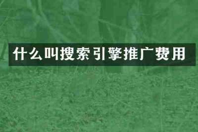 什么叫搜索引擎推广费用