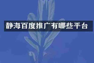 静海百度推广有哪些平台