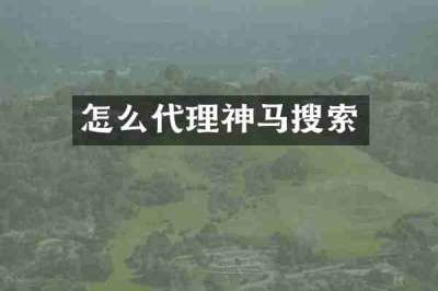 怎么代理神马搜索