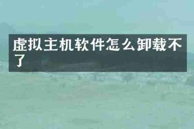 虚拟主机软件怎么卸载不了