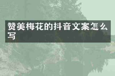 赞美梅花的抖音文案怎么写