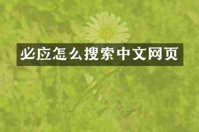 必应怎么搜索中文网页