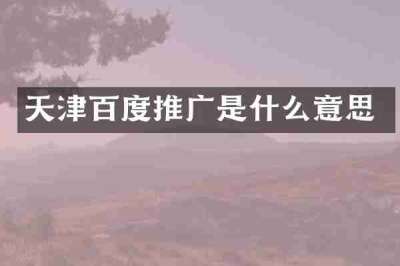 天津百度推广是什么意思